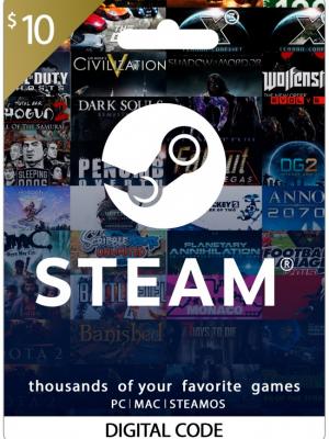 STEAM 10 USD